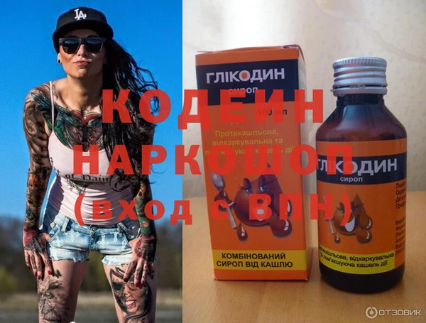 ГАЛЛЮЦИНОГЕННЫЕ ГРИБЫ Корсаков