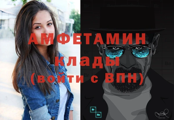 ГАЛЛЮЦИНОГЕННЫЕ ГРИБЫ Корсаков